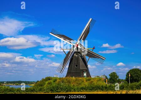 Beesel, Paesi Bassi - 9 luglio. 2021: Vista su isolato tipico mulino a vento olandese (Molen de grauwe birra) in paesaggio rurale contro il cielo blu profondo estate wit Foto Stock