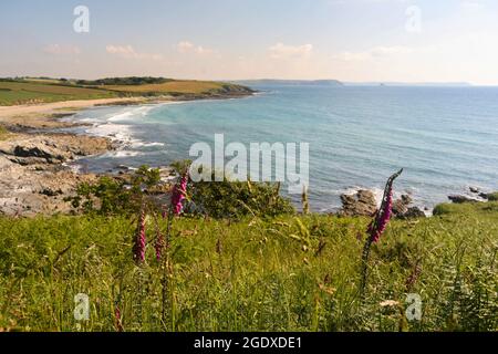 An Empty Towan Beach, Roseland Peninsula, Cornovaglia, Regno Unito Foto Stock