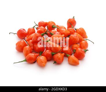 pimenta biquinho vermelha, pepe di becco rosso, pepe brasiliano dolce Foto Stock