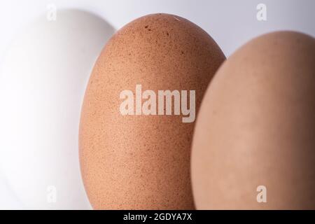 Tre (3) diverse sfumature di uova naturali organiche su sfondo bianco. Concetto di diversità e differenza Foto Stock