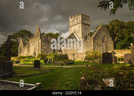 Le rovine dell'abbazia di Muckross in Irlanda Foto Stock