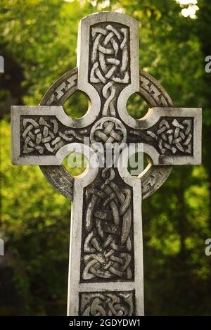 Le rovine dell'abbazia di Muckross in Irlanda Foto Stock