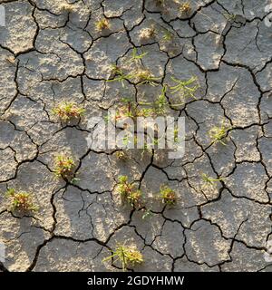 SD004453-00....SOUTH DAKOTA - dettaglio terreno nel Parco Nazionale di Badlands. Foto Stock