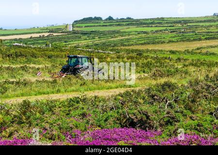 Trattore agricolo, la Hague, dipartimento della Manica, Cotentin, Regione Normandia, Francia Foto Stock