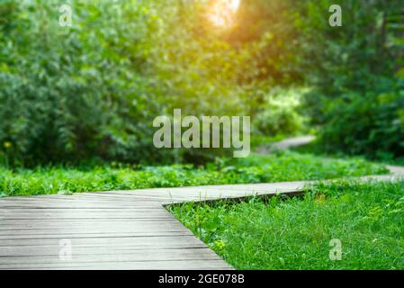 Sentiero in legno nel parco della città, ecotTrail in legno. Foto Stock