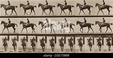 Animal locomotion (Plate 580) Artist: Eadweard J. Muybridge Artist Bio: British, 1830 - 1904 Creation Date: 1887 Process: Collotype Foto Stock