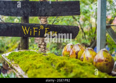 La connessione Wi-Fi è gratuita nella natura della foresta Foto Stock