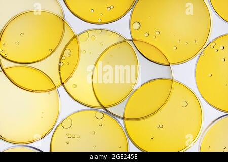 Bolle astratte del cerchio di olio in una vista dall'alto della piastra Petri. Fondo cosmetico o di medicina di laboratorio. Foto Stock