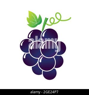 Uva da vino, uva da tavola. Vettore grappolo d'uva fresco isolato su bianco. Frutta fresca e sana. Illustrazione Vettoriale