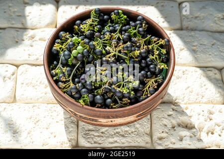 Bacche nere di ombra notturna in un piatto sul primo piano del tavolo. Ombra notturna in cucina. Cibo sano. Raccolto per cottura Foto Stock