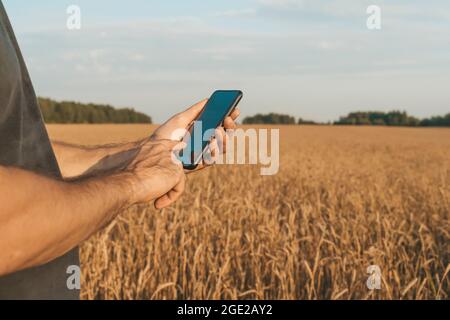 Agricoltore con uno smartphone in mano sullo sfondo di un campo di grano durante la raccolta. Concetto di tecnologie agroalimentari e agroalimentari. Foto di alta qualità Foto Stock