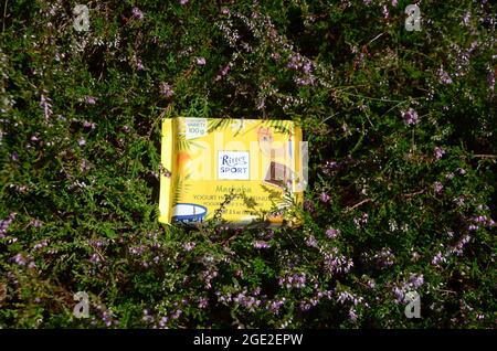 Sonderborg, Danimarca - Augut 15, 2021: Ritter Sport Marhaba mattone al cioccolato arrangiato in erica fiorente. Foto Stock