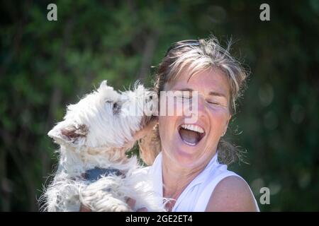 Donna in possesso di un adulto West Highland White Terrier Foto Stock