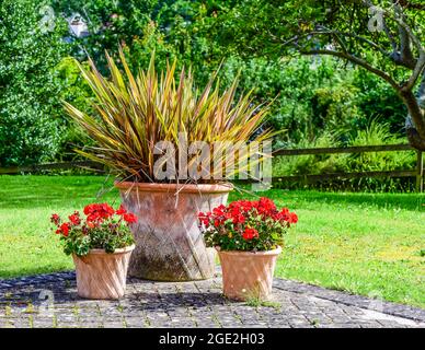 Un angolo tranquillo di un giardino di campagna inglese. Foto Stock