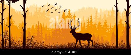 Banner orizzontale. Silhouette di cervo in piedi sul prato in Forrest. Silhouette di animali, alberi, erba. Magico paesaggio nebboso, nebbia. Arancione, nero A. Illustrazione Vettoriale
