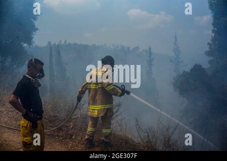 Gerusalemme, Israele. 16 agosto 2021. I vigili del fuoco lavorano per estinguere un grande incendio nella foresta scoppiato ad ovest di Gerusalemme. Il primo ministro israeliano Naftali Bennett ha dichiarato di sperare che l'incendio possa essere messo sotto controllo nel corso della giornata. Credit: Ilia Yefimovich/dpa/Alamy Live News Foto Stock