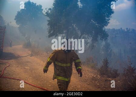 Gerusalemme, Israele. 16 agosto 2021. I vigili del fuoco lavorano per estinguere un grande incendio nella foresta scoppiato ad ovest di Gerusalemme. Il primo ministro israeliano Naftali Bennett ha dichiarato di sperare che l'incendio possa essere messo sotto controllo nel corso della giornata. Credit: Ilia Yefimovich/dpa/Alamy Live News Foto Stock