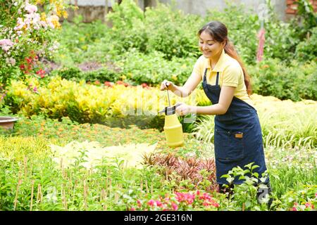 Abbastanza sorridente giovane lavoratore del centro di giardinaggio spruzzando e annaffiando fiori in fiore Foto Stock