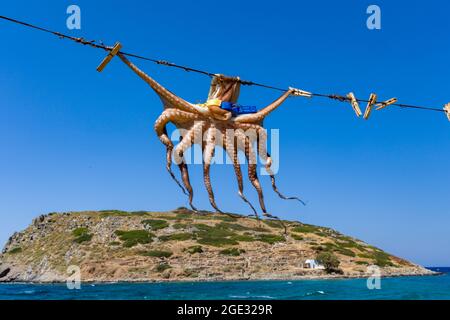 Un piccolo polpo che si asciuga al sole a Mochlos, Creta Foto Stock