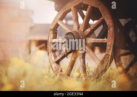 Le ruote di un vecchio carro di legno, che si trova su un campo tra orecchie di pikelets e fiori gialli selvaggi, e sullo sfondo di un vecchio chur di legno Foto Stock