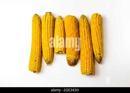 Mais dolce giallo bollito su sfondo bianco. Texture. Cibo creativo. Altalene di mais. Intero e porzioni di mais. Concetto alimentare ecologico. Selettivo Foto Stock