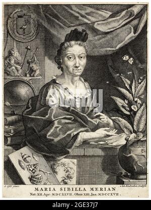 Maria Sibylla Merian, (1647-1717), naturalista tedesco, illustratore scientifico, incisione ritratto di Jacob Houbraken dopo Georg Gsel, 1708-1780 Foto Stock