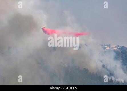 Gerusalemme, Israele. 16 agosto 2021. Il fumo sorge dagli alberi dopo che un grande incendio nella foresta scoppiò ad ovest di Gerusalemme. La polizia israeliana ha detto che le evacuazioni erano iniziate in diversi villaggi colpiti dalle fiamme e che le strade erano state bloccate. Credit: Ilia Yefimovich/dpa/Alamy Live News Foto Stock