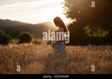 Vista laterale della donna incinta in piedi nel campo di grano. Tocca e guarda il ventre. Foto Stock