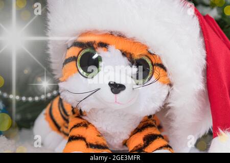 Un peluche cucciolo di tigre in un cappello di Babbo Natale è un simbolo del nuovo anno 2022. Foto Stock