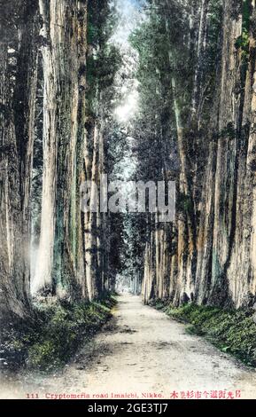 Vecchia cartolina circa 1900 di una strada che attraversa alberi di cedro a Imaichi, Nikko. Conosciuta come la strada Cryptomeria, o Cedar Avenue. Foto Stock