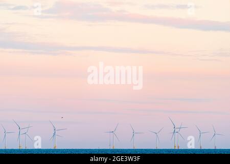 Turbine eoliche Pn l'orizzonte delle centiste Flats offshore Wind farm al largo della costa a Herne Bay a kent, al daybreak, all'alba. Nuvole rosa sottili sopra. Foto Stock