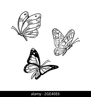 Set di farfalle disegnate a mano isolate di bianco. Illustrazione vettoriale nello stile di schizzo Illustrazione Vettoriale