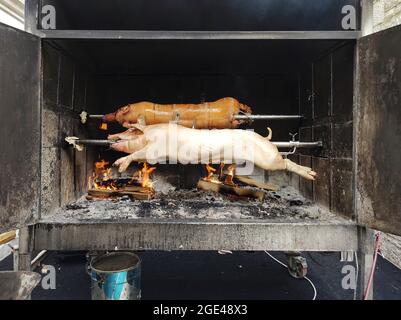 I porchi grigliano in un forno Foto Stock