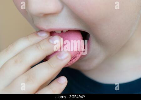 Ragazzo gustoso Macaron Foto Stock