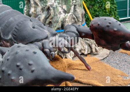 Girato alla mostra delle creazioni di megalodon a heden Foto Stock