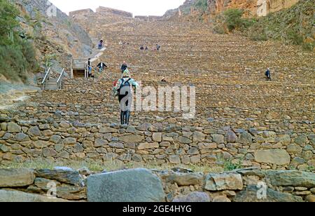 Visitatori arrampicarsi sulle terrazze di Pumatallis all'interno della Cittadella di Ollantaytambo Incas, Provincia di Urubamba, Regione di Cusco, Perù Foto Stock