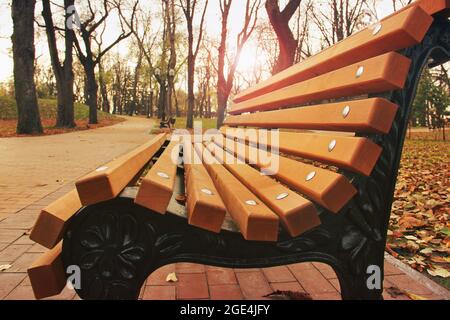 Primo piano panca in legno nel parco autunnale Foto Stock