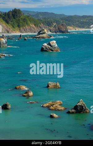 Vista sulla costa dall'Oregon Coast Trail, dal Sisters Rock state Park, Oregon Foto Stock