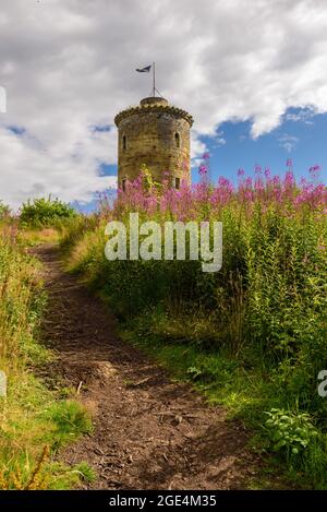 La Knights Law Tower, conosciuta anche come Terregles Tower, una vecchia colombaia sulla Pencuik House Estate a Midlothian, Scozia Foto Stock