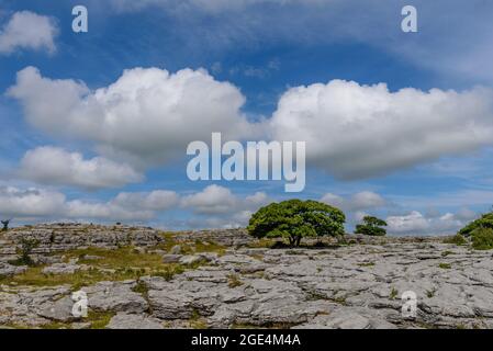 Paesaggio calcareo su Farleton e Newbiggin Fells sopra Burton-in-Kendal sul confine tra Lancashire e Cumbria Foto Stock