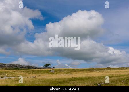 Paesaggio calcareo su Farleton e Newbiggin Fells sopra Burton-in-Kendal sul confine tra Lancashire e Cumbria Foto Stock