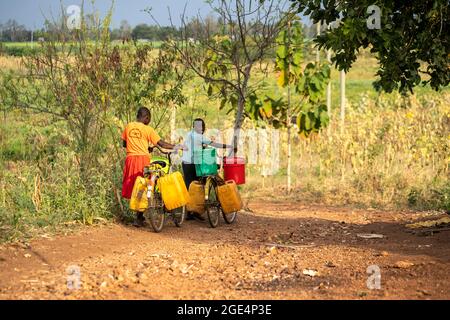 Mvomero, Washington, Tanzania. 16 agosto 2021. Astelia Lawrence e Grace John, studenti di EMFERD (Eric Memorial Foundation for the Education and Rehabilitation of the Disabled) orfanotrofio a Mvomero, Tanzania, spingono la loro bicicletta per raccogliere acqua.due fonti di acqua, un fiume e un pozzo, sono entrambi a più di un chilometro dal dormitorio delle ragazze. Ogni residente trasporta fino a 20 litri di acqua al giorno per soddisfare le esigenze dell'orfanotrofio. Credit: ZUMA Press, Inc./Alamy Live News Foto Stock