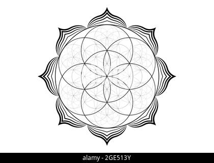 Seme fiore di vita icona di loto, yantra mandala geometria sacra, tatuaggio simbolo di armonia e di equilibrio. Talismano mistico, vettore di linee nere isolato Illustrazione Vettoriale