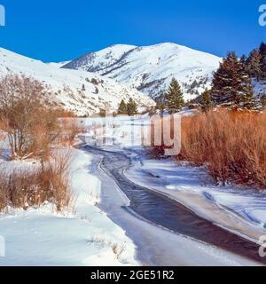 Poco ficodindia creek in inverno vicino a silver city, montana Foto Stock