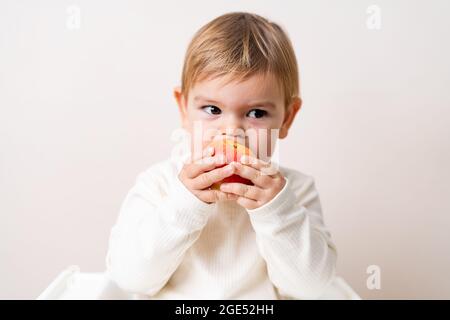 Bambino più piccolo con le mele sulla sedia alta. Mangiare sano. Raccolta estiva e autunnale. Scatto in studio Foto Stock