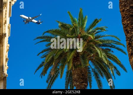 Aereo che vola sopra palme ed edifici a Trogir, Croazia Foto Stock