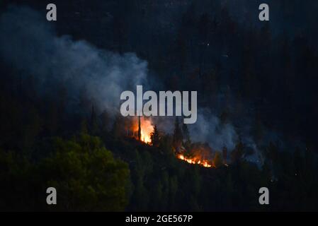 Gerusalemme, Israele. 16 agosto 2021. Le forze antincendio stanno lottando per estinguere un massiccio incendio selvatico il secondo giorno di ustioni, le pendici occidentali delle montagne di Gerusalemme. Villaggio di GIV'at Ye'arim/Shoresh. Gerusalemme Ovest, 16 agosto 2021. (Foto di Matan Golan/Sipa USA) Credit: Sipa USA/Alamy Live News Foto Stock