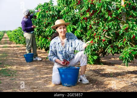 L'uomo e la donna stanno lavorando alla piantagione Foto Stock