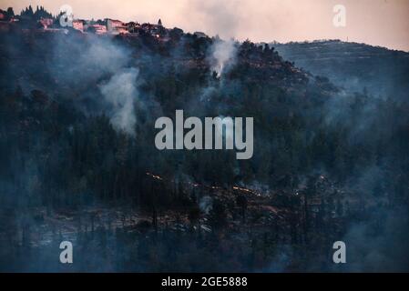 GIV’at Ye’Arim/Shoresh. Gerusalemme Ovest, 16 agosto 2021. Forze antincendio che lottano per estinguere un massiccio fuoco selvatico il secondo giorno di ustioni, le pendici occidentali dei monti Jerusalem. Villaggio di GIV’at Ye’Arim / Shoresh. Gerusalemme Ovest, 16 agosto 2021. (Foto di Matan Golan/Alamy Live News) Credit: Matan Golan/Alamy Live News Foto Stock