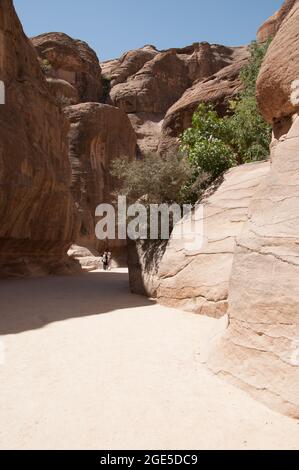 Ingresso al Siq, Petra, Giordania, Medio Oriente il Siq è una spaccatura naturale nella roccia che forma un passaggio attraverso la "Città nascosta di Petra". H Foto Stock